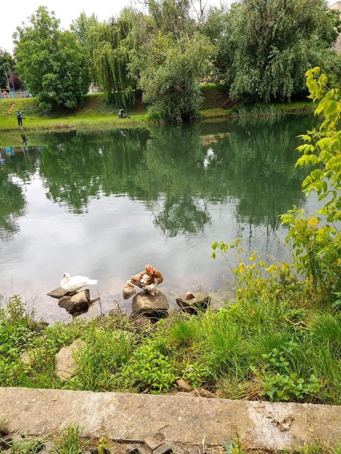 Laci Lak Oradea Bagian luar foto